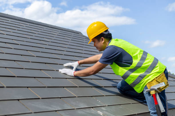 Best Storm Damage Roof Repair  in Alvin, TX