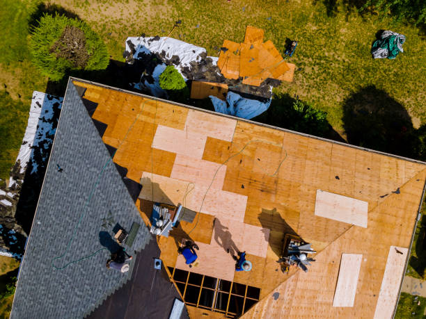 Professional Roofing Contractor in Alvin, TX