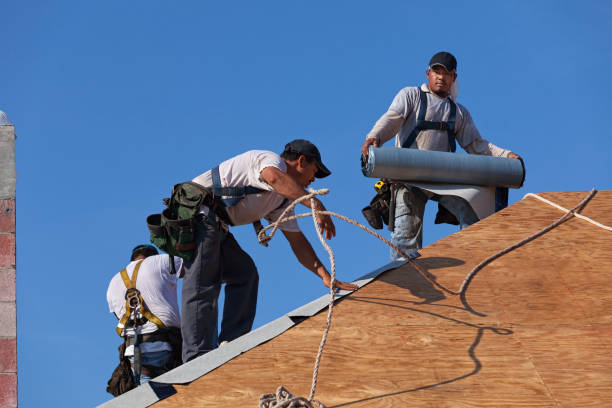 Roof Gutter Cleaning in Alvin, TX