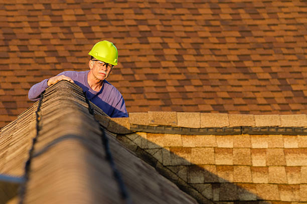 Best Roof Gutter Cleaning  in Alvin, TX