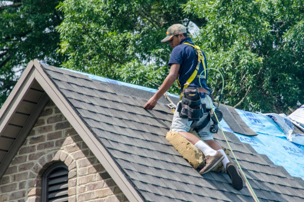 Quick and Trustworthy Emergency Roof Repair Services in Alvin, TX